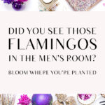 Did You See Those Flamingos in the Men’s Room?